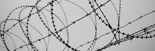 Barbed wire